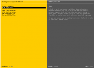 How to manage VLANs and virtual switches on ESXi/vSphere
