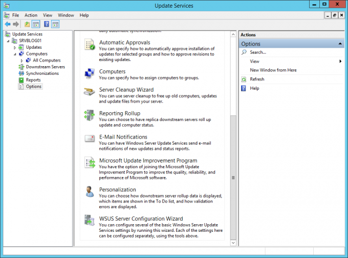 Install and configure Windows Server Update Services (WSUS)
